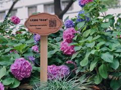 -常州古运河南大街文化旅游区-人民公园