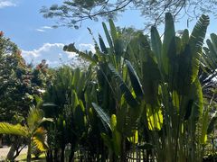 -中国科学院西双版纳热带植物园