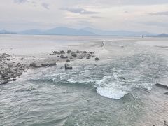 -深圳湾公园(南山区)