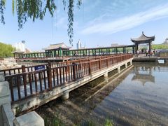-莲花池公园