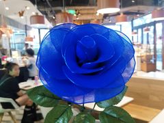 -Dough&Joe团憩(瑞虹天地月亮湾店)