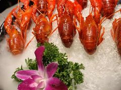 -红盔甲·小龙虾(天钥桥店)