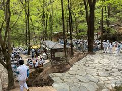 -牛背梁国家森林公园