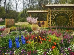 -上海共青森林公园