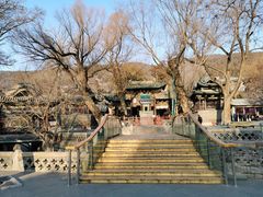 -晋祠公园