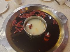 -大龙燚火锅