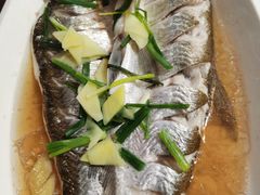 清蒸白鱼-观桥阁(锦溪店)