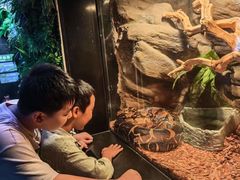 -成都浩海立方海洋公园