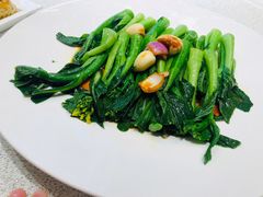 白灼菜心-粤珍轩·家宴·广式茶点(新城广场店)