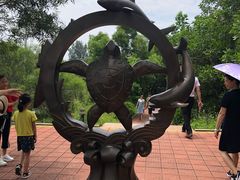 -广东惠东海龟国家级自然保护区