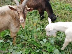 -清风小镇闯关东影视基地