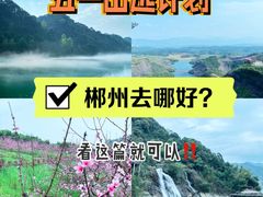 -东江湖旅游区
