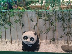-麻辣空间·清油火锅(万达广场店)