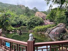 -江门古兜温泉小镇