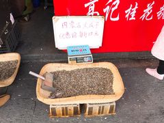 -高记福桂桂花糖炒栗(鼓楼店)
