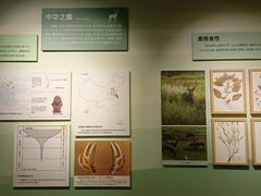 -北京麋鹿生态实验中心