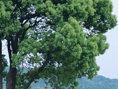 -东海半边山旅游度假区