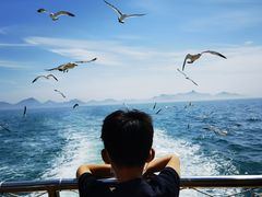 -海驴岛(荣成市)