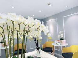 -MIVI野生眉纹绣纹眉