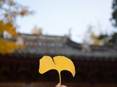 -汇龙潭