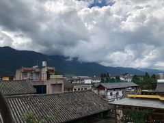 -喵屿·大理花园猫咖