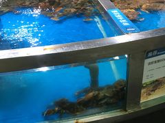 -盒马鲜生(悦峰店)