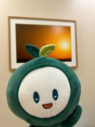 -北京米扬丽格医疗美容·联合丽格鼻整形中心