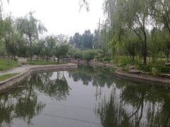-石家庄市植物园