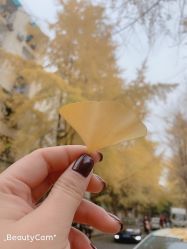 -MIMO Hair米莫