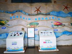 -广东惠东海龟国家级自然保护区
