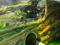 -海合安成都极地海洋公园