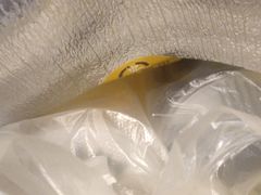 -安悦煎饼(河北店)