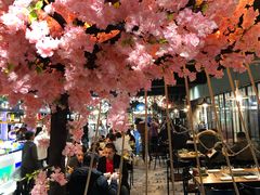 -苏格里岛自助烧烤火锅(花果园兰花广场店)