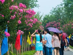 -武汉紫薇都市田园