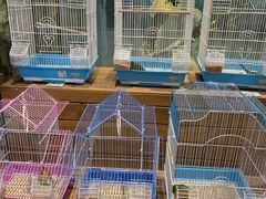 -龟与熊猫宠物公园(南坪店)
