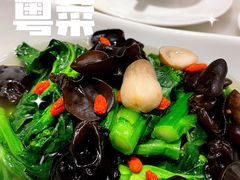 -顺德美的万豪酒店-万豪中餐厅