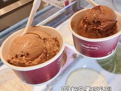 -哈根达斯(朝阳大悦城店)