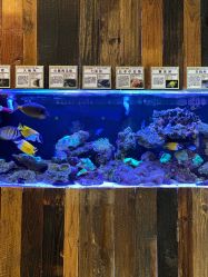 点击看大图 -Zoolung Zoolung动物主题公园(海信广场店)