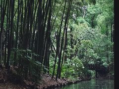 -同里国家湿地公园