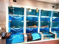 水产区-赶海部落海鲜城(海阳路店)