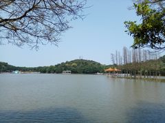 -西樵山风景名胜区-天湖公园