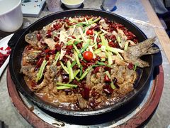 -老板恋上鱼(恒隆广场店)