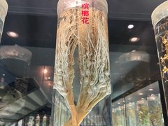 -广东中医药博物馆