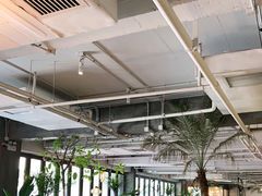 大堂-the rug 飞毯 (朝阳公园店)
