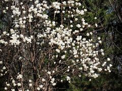 -北京麋鹿生态实验中心