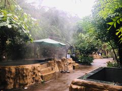 -南宫温泉水世界