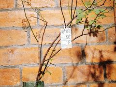 -西关84·History·Art·Cafe