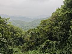 -广州市帽峰山景区
