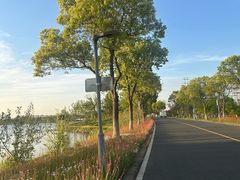 -漕湖湿地公园