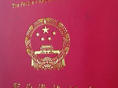 -波姐宠物家庭寄养